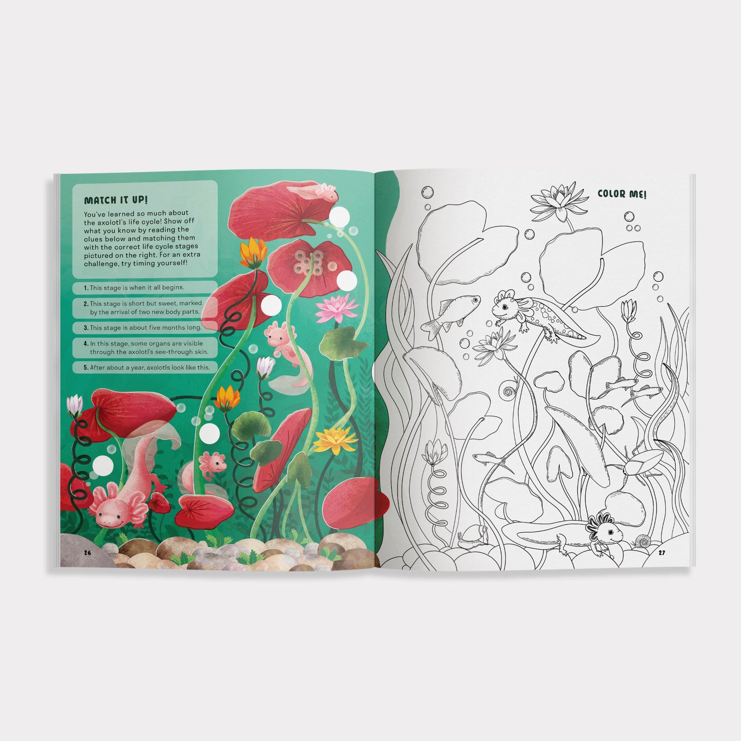 Open book showing an underwater scene with coloring page on a white background