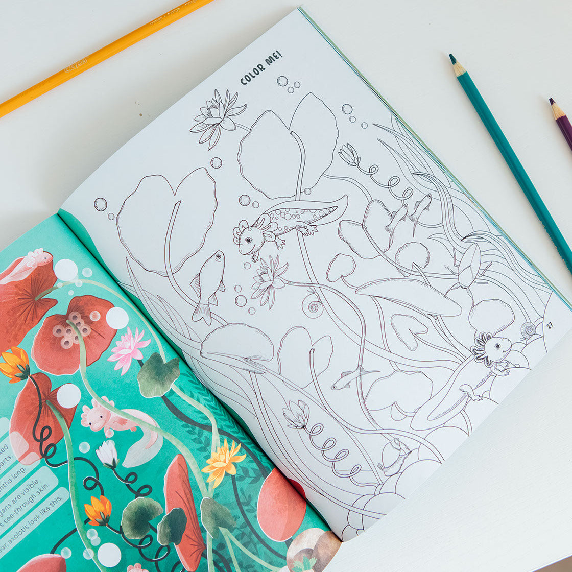 Coloring book with axolotl design and coloring pencils on a white surface