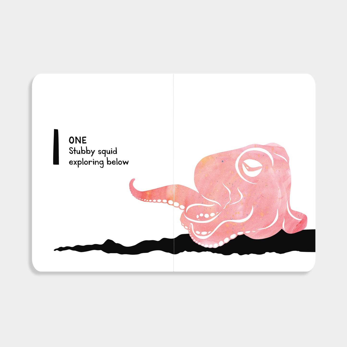 Illustration of a pink squid on a white background with text.