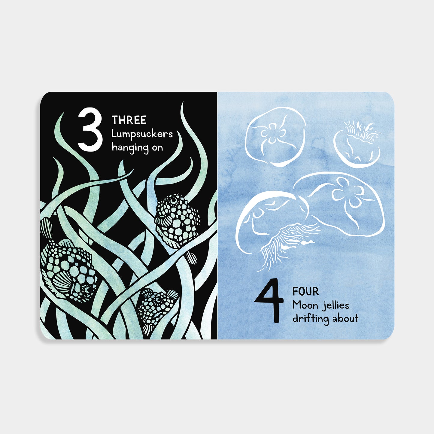 Two cards with illustrations of lumpsuckers and moon jellies on a light gray background