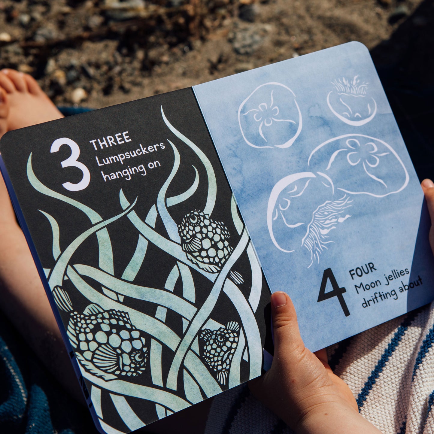 Person holding a notebook with illustrations and text on a natural background
