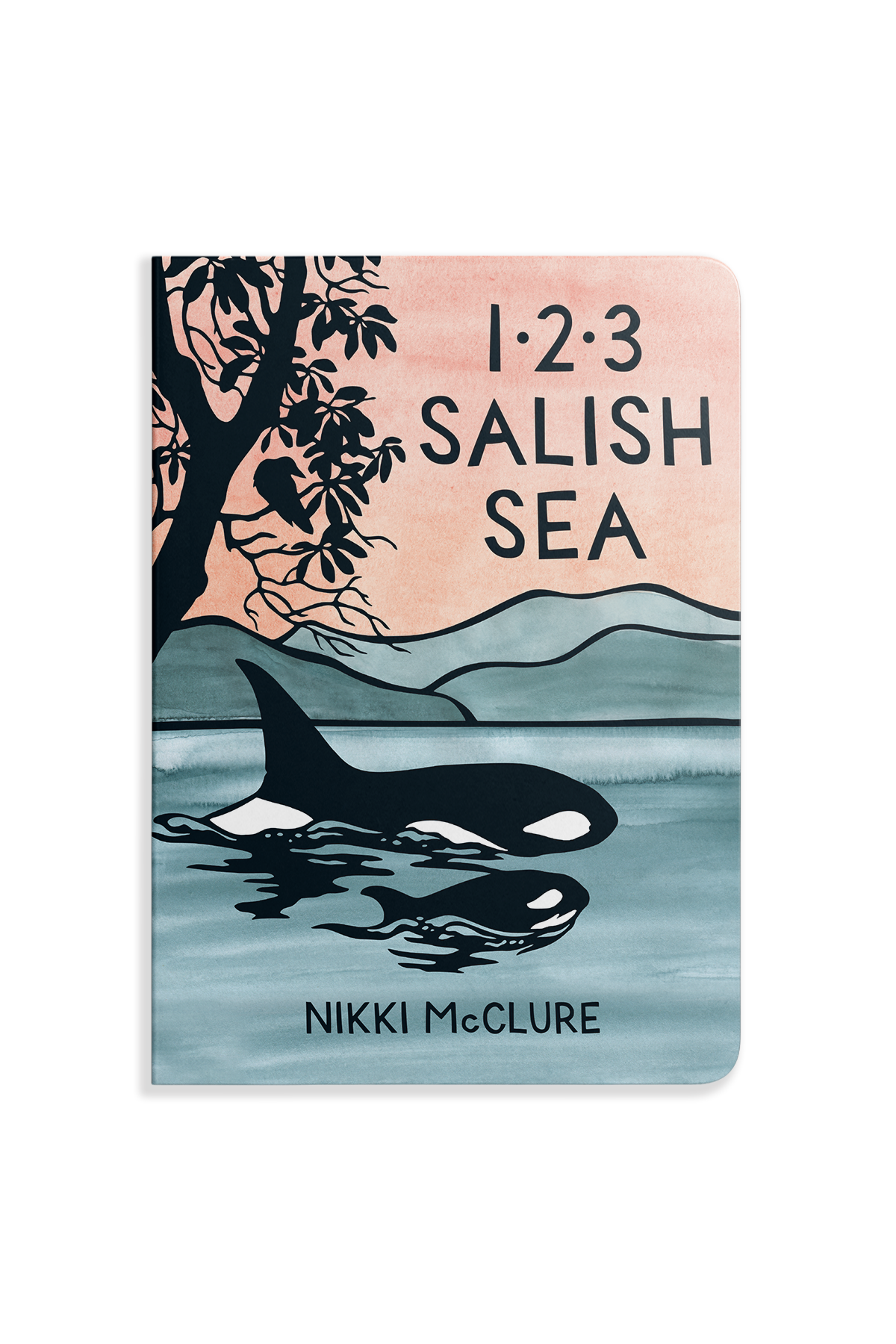 Book cover of '1 2 3 Salish Sea' by Nikki McClure with an illustration of an orca and trees.