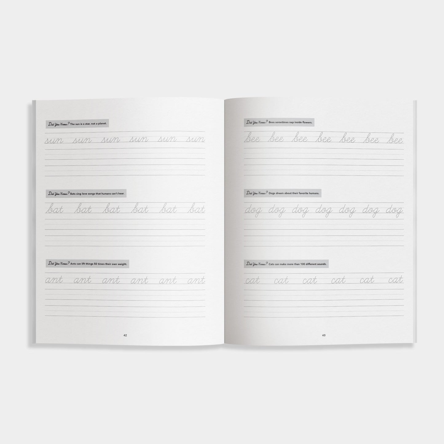 Cursive Handwriting Workbook