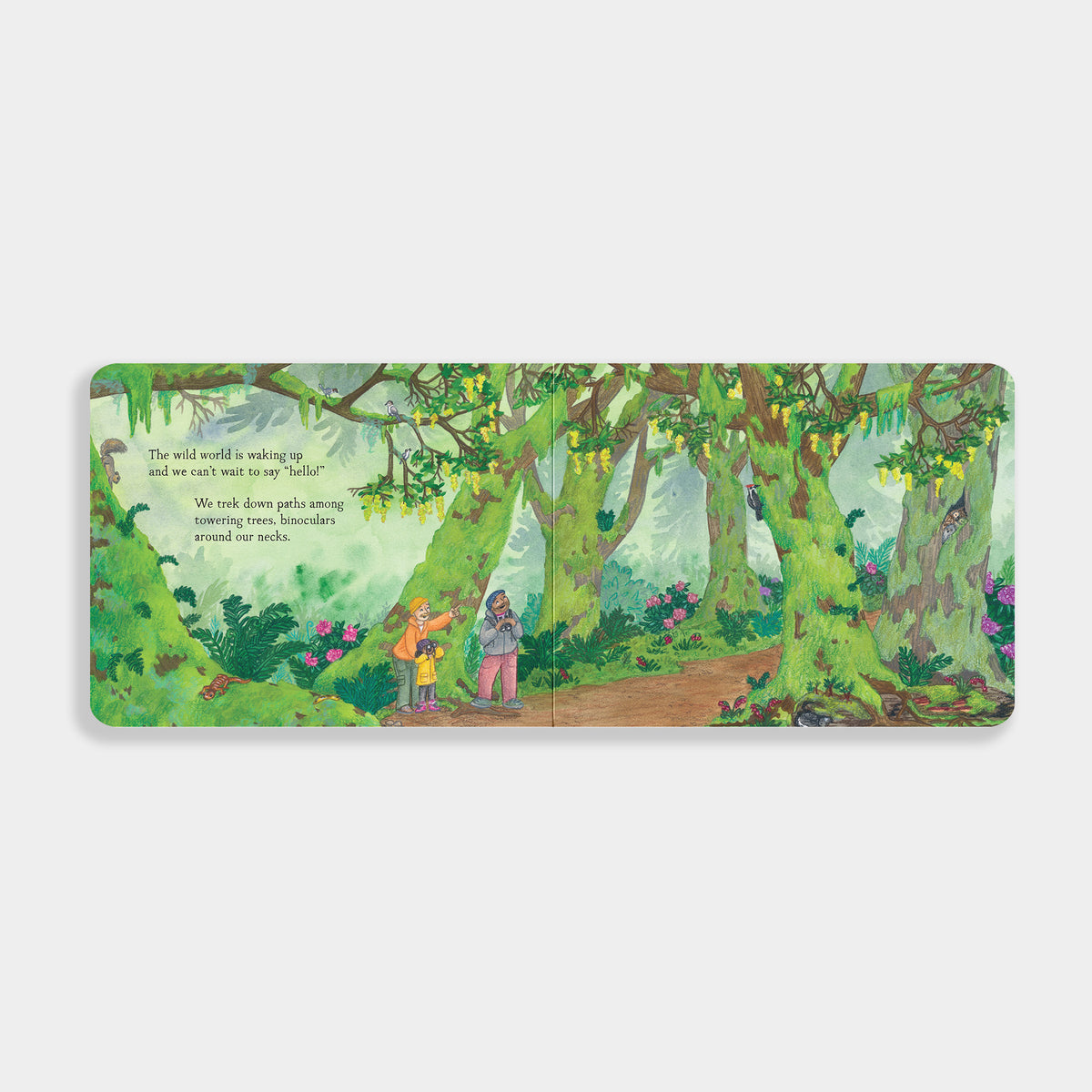 open book of 'When Spring Comes' shows a family with binoculars in a green forest. 