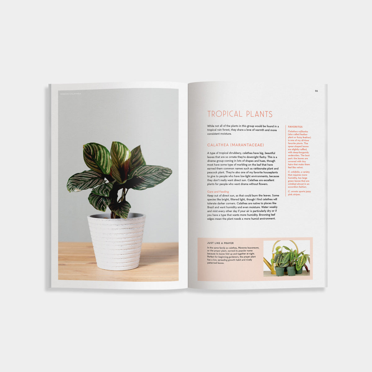 open book of 'The Inspired Houseplant" shows a plant in and a chapter on "tropical plants". 
