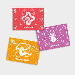 Spanish-English ABC Flash Cards available at Blue Star Press