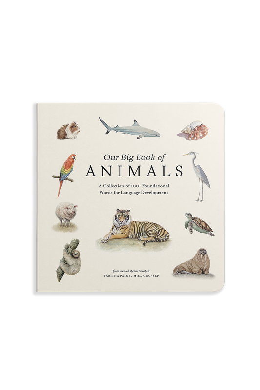 Book cover of 'Our Big Book of Animals' with illustrations of various animals on a white background.