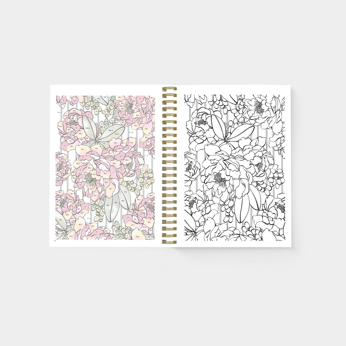 An open spiral-bound art practice book showing floral line drawings and color examples on two pages, photographed against a pale green background.