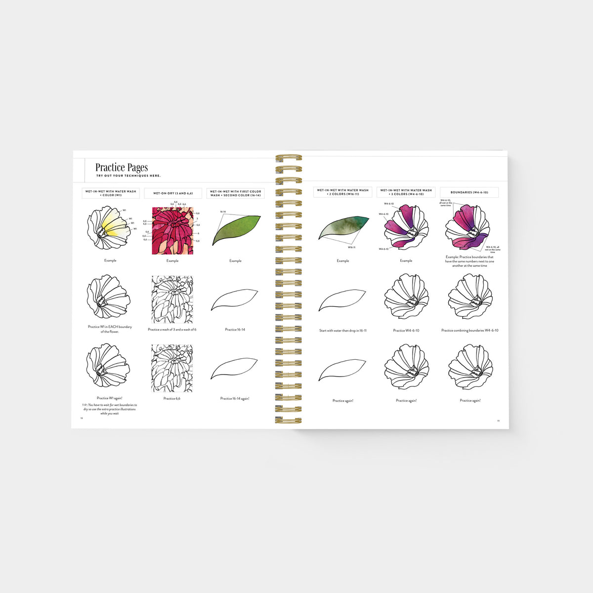 An open spiral-bound art practice book showing floral illustration pages with labeled flower diagrams, leaf studies, and colored/inked practice examples on a light gray background.
