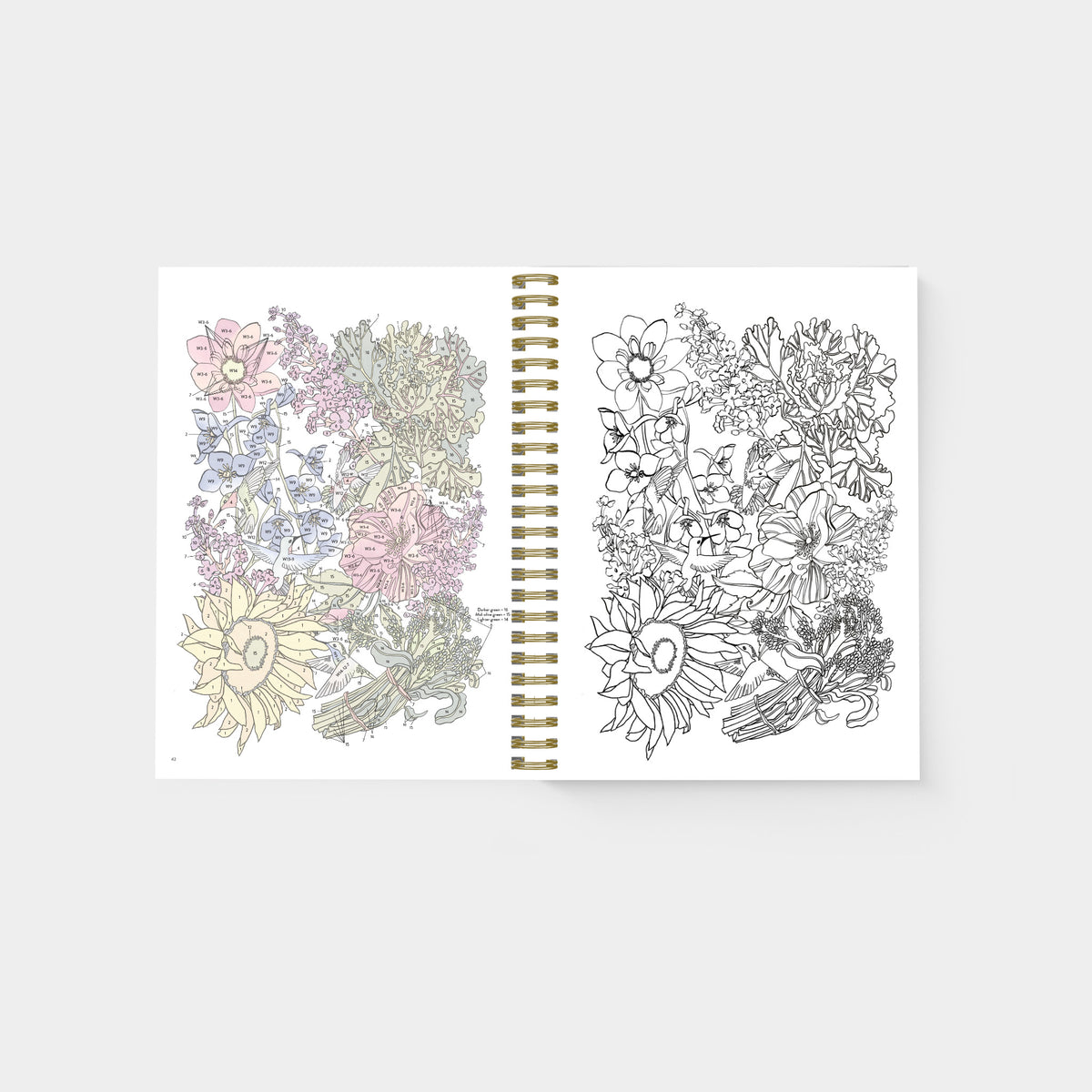 An open spiral-bound art practice book showing floral line drawings and color examples on two pages, photographed against a pale green background.