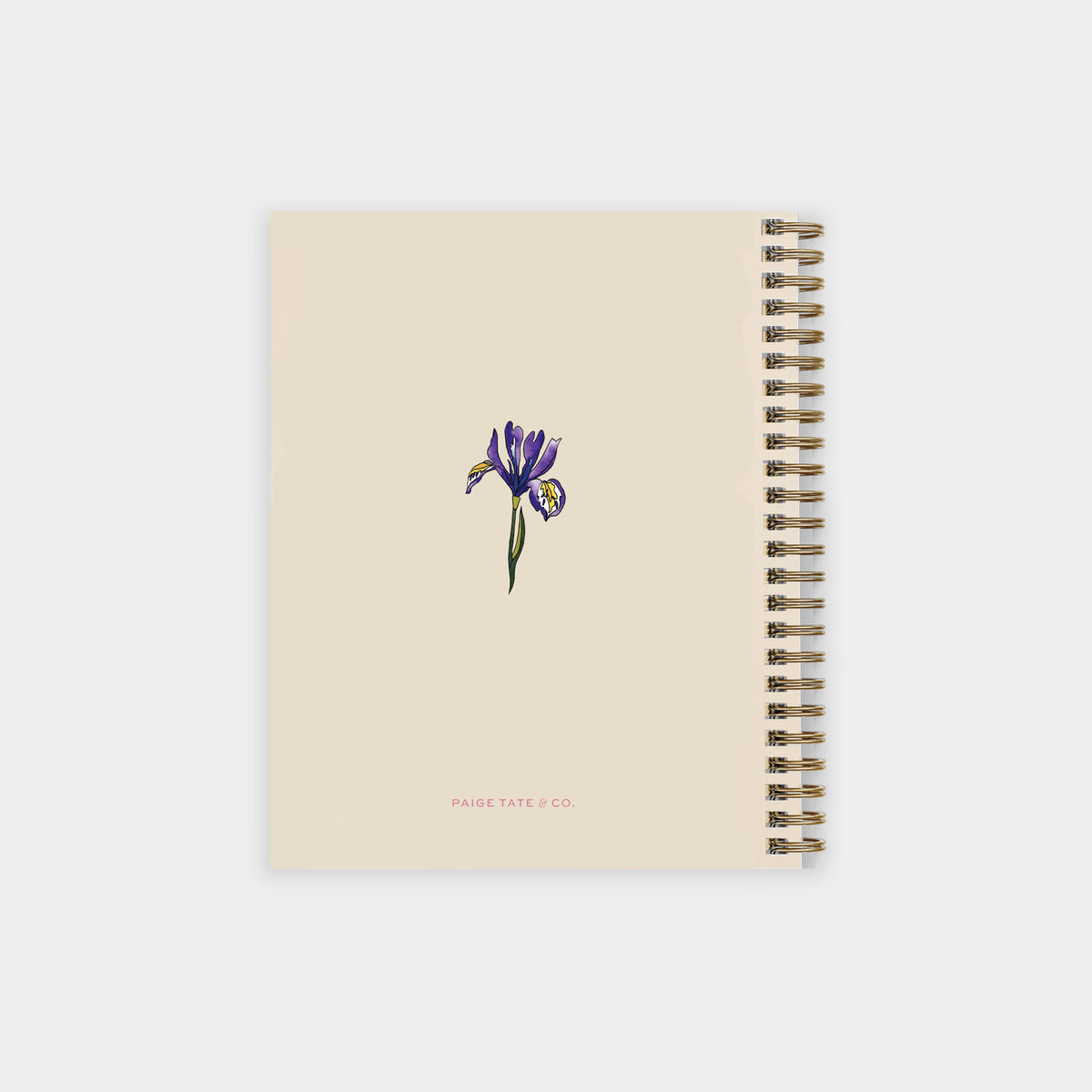 A beige spiral notebook with a single purple iris flower illustration on the cover, shown against a light gray background. The brand name 'Paisley Lake Co.