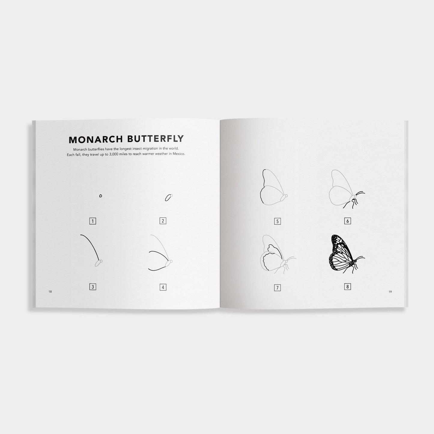 Bugs: How to Draw Books for Kids