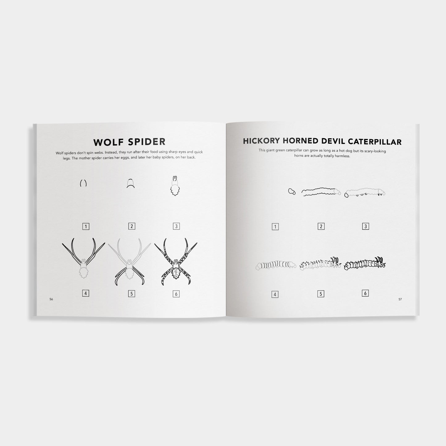 Bugs: How to Draw Books for Kids