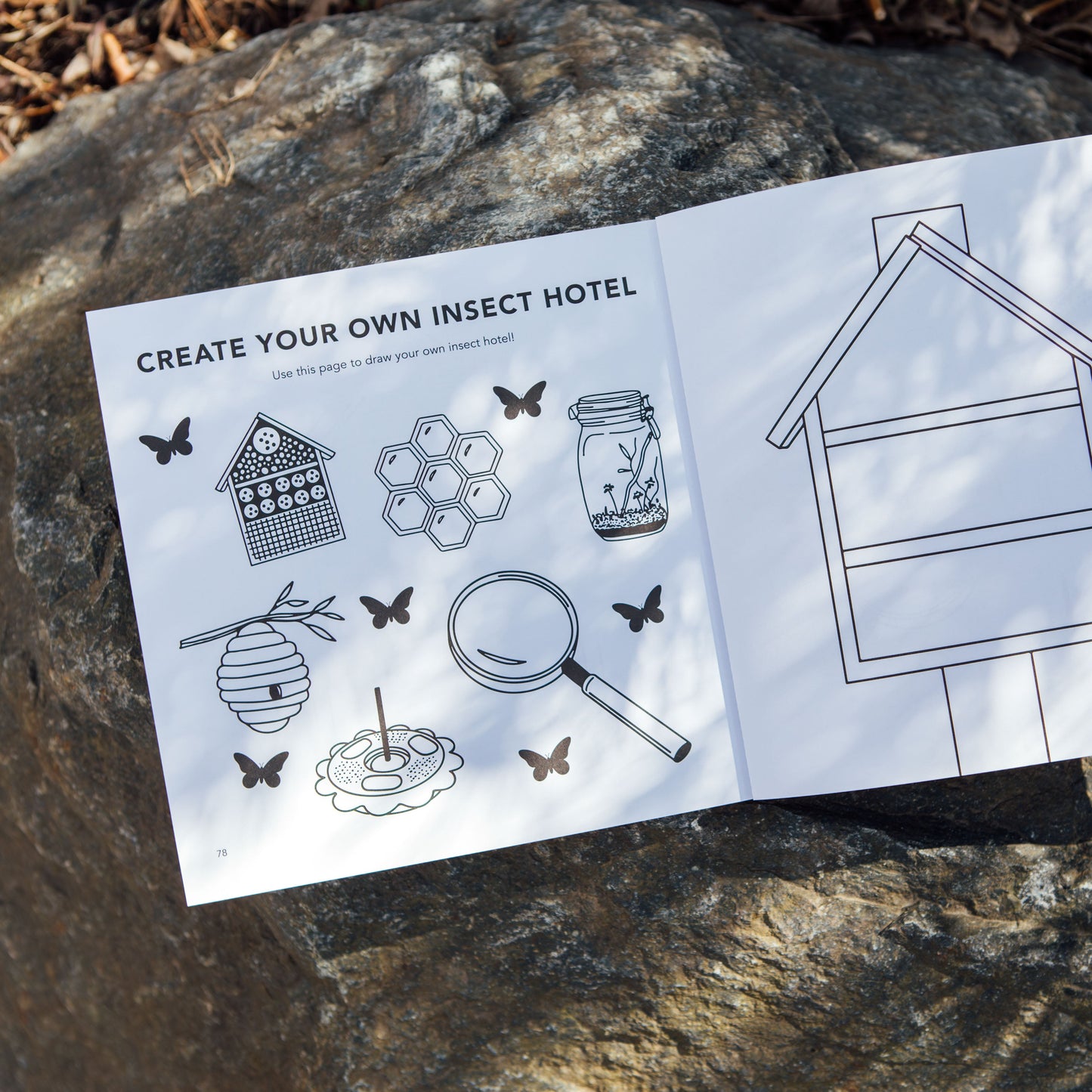 Instructions for creating an insect hotel on a rock