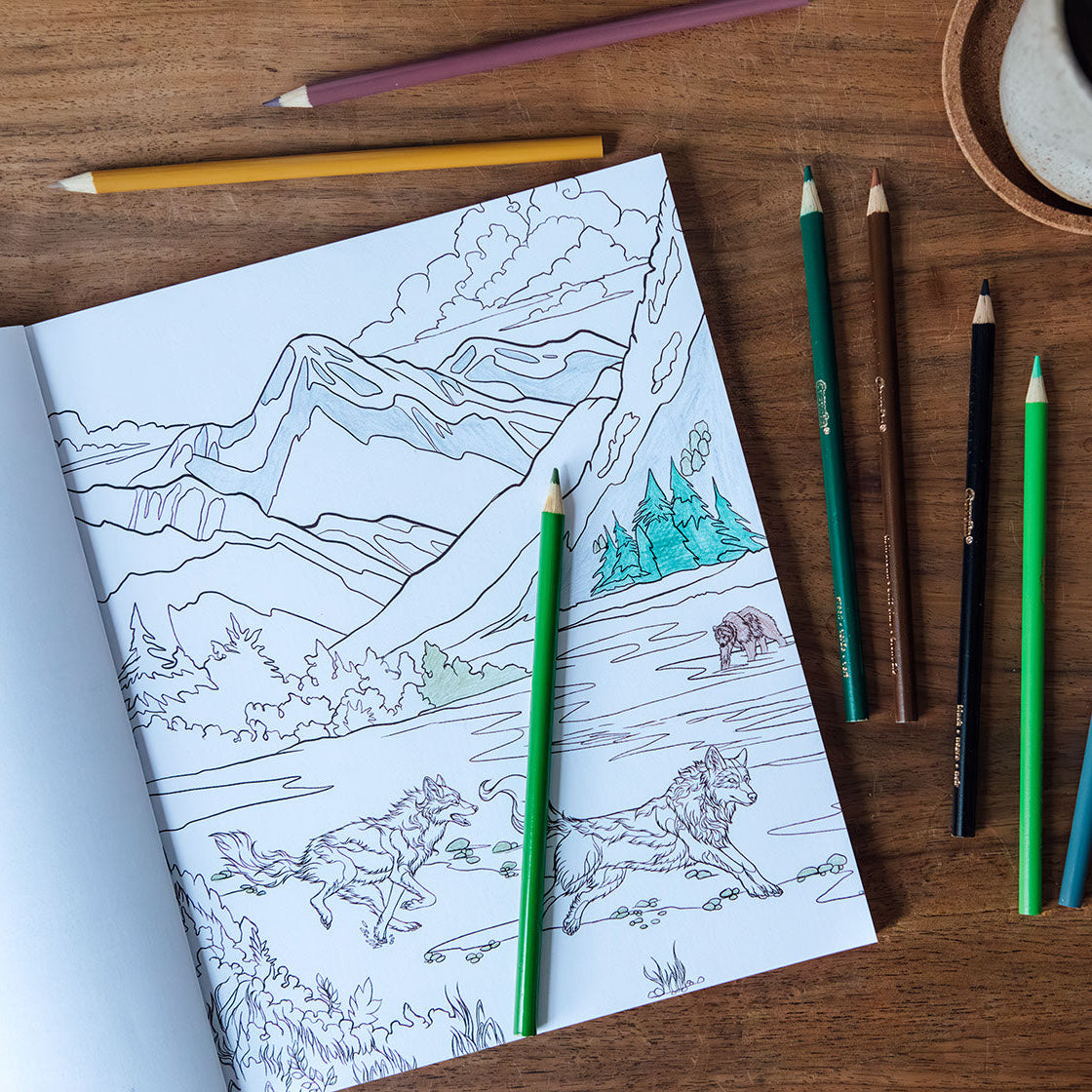 Coloring book with mountain and castle design on a wooden table with colored pencils.