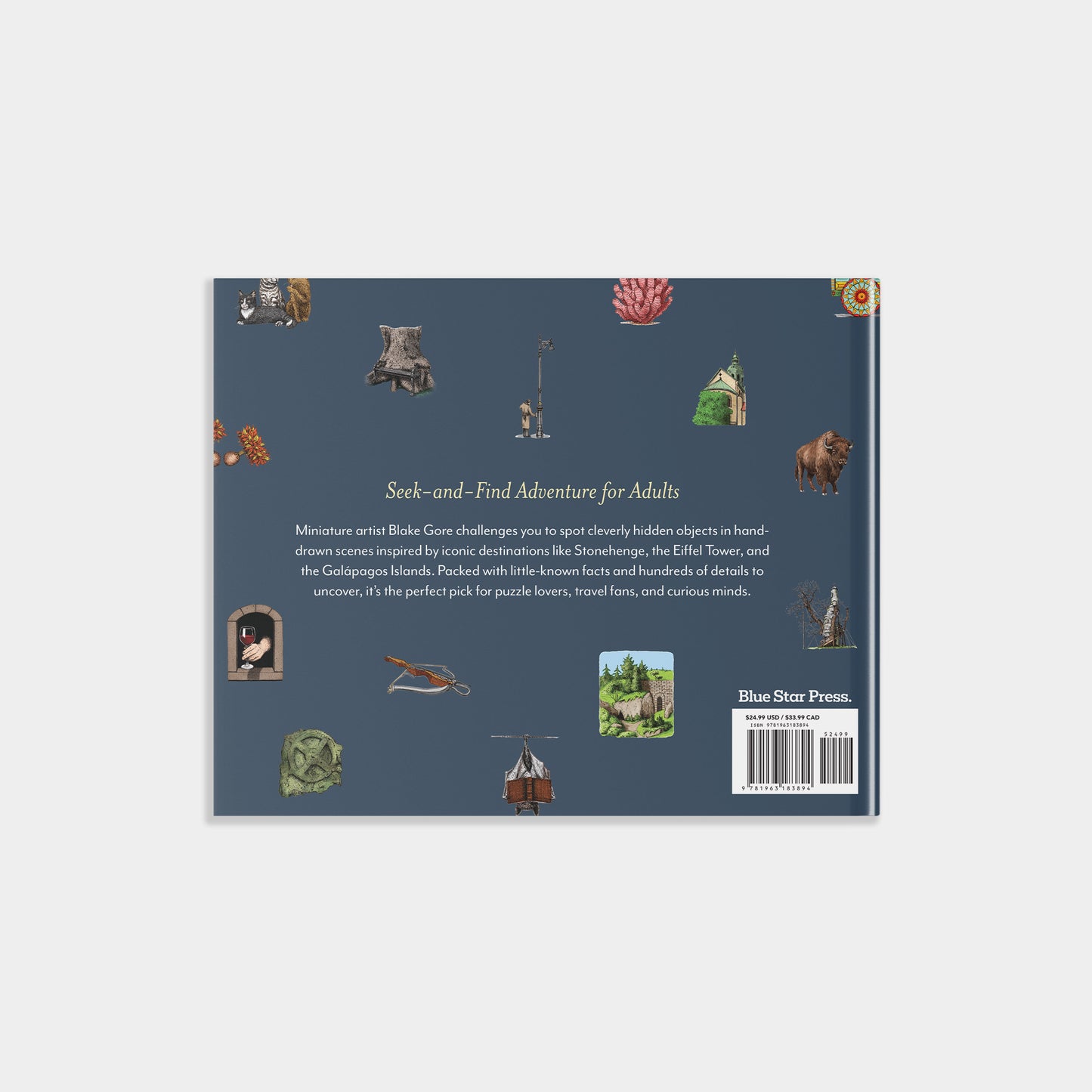 Back cover is a blue back ground with various small illustrations scattered around: buffallow, city, window, statue, etc. 