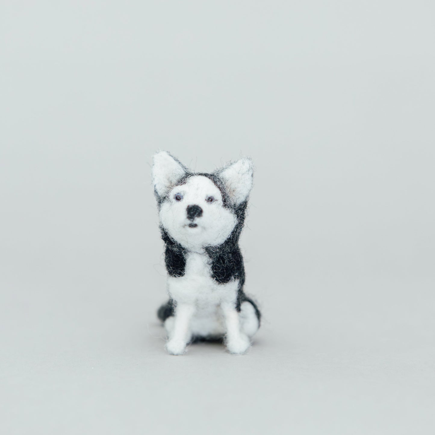 Stuffed toy husky dog on a light gray background