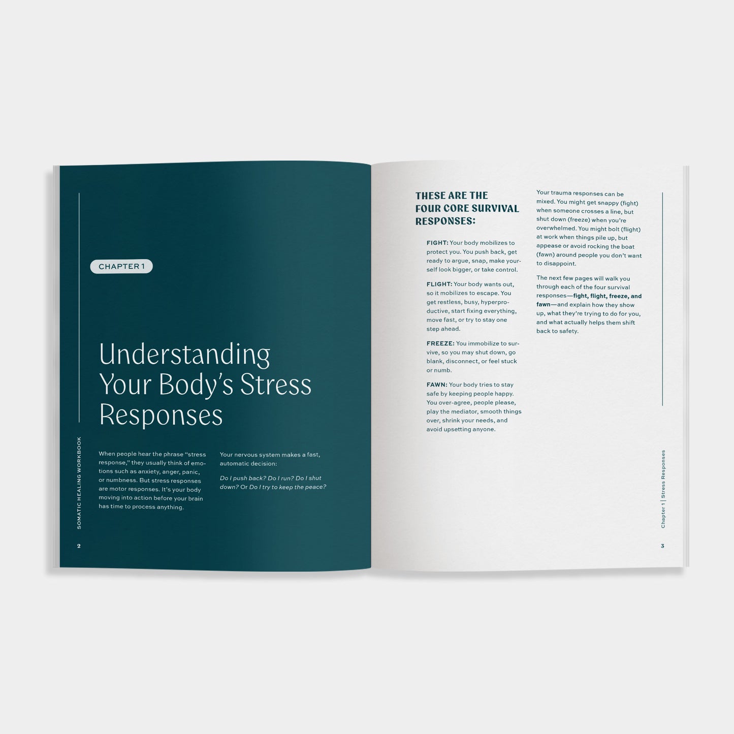 Open book of "The Somatic Healing Workbook" showing a blue page with text: Understanding your body's stress responses"