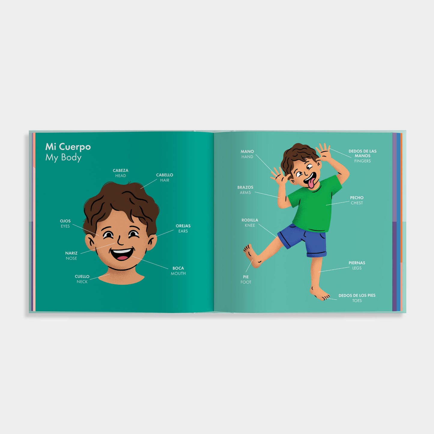 An open children's educational book spread showing illustrated body parts with Spanish labels, including 'Mi Cuerpo / My Body,' on a light gray background.