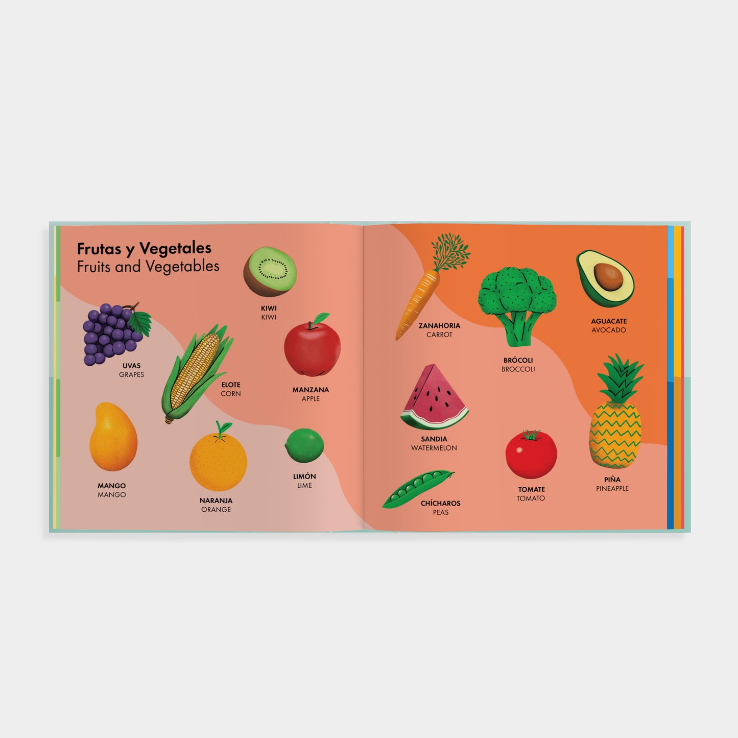 An open Spanish-language educational book spread titled 'Frutas y Vegetales Fruits and Vegetables' showing illustrated fruits and vegetables on peach and orange pages against a light gray background.