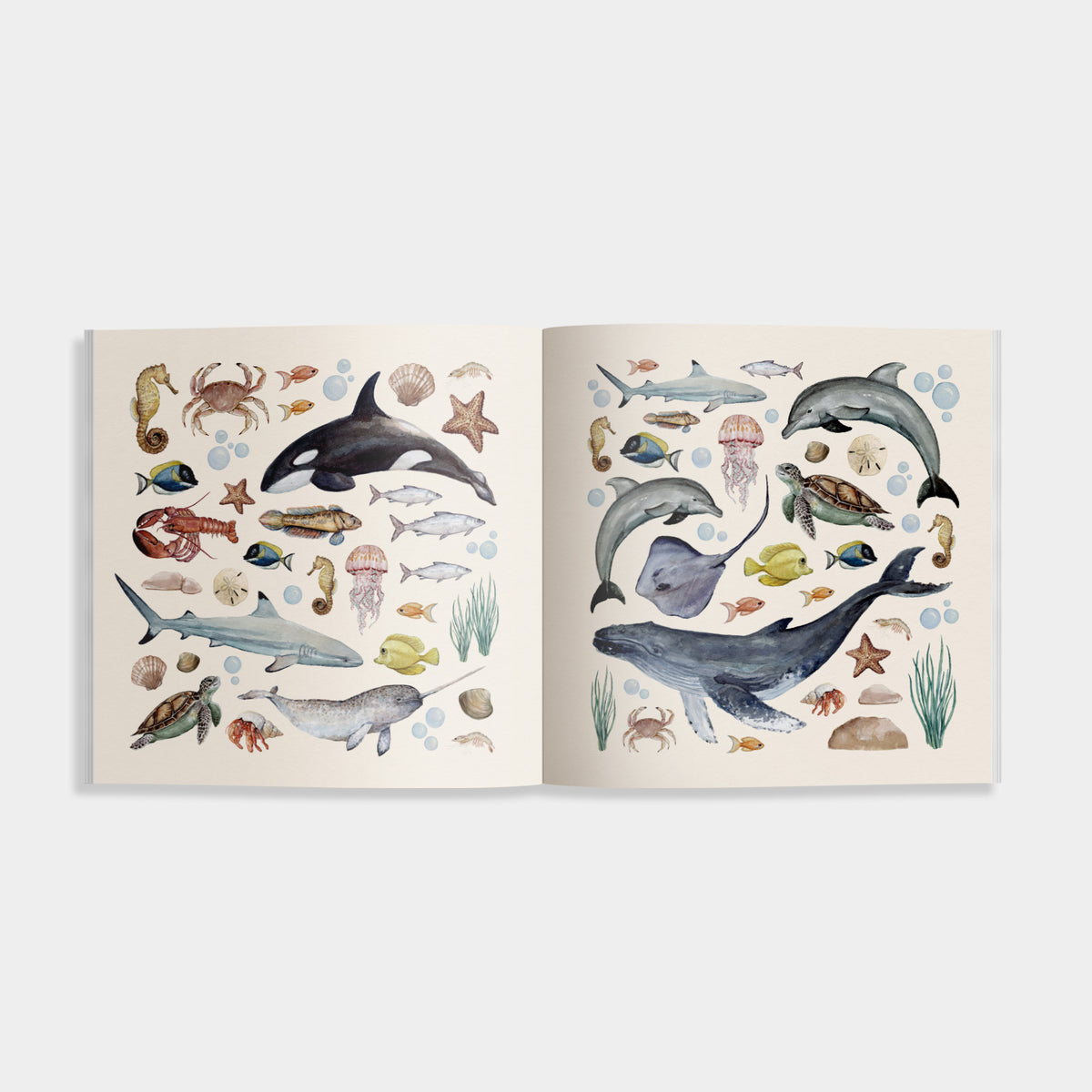 An open art print or book spread featuring watercolor illustrations of ocean life, including whales, dolphins, sharks, jellyfish, crabs, starfish, and sea plants on a warm cream background.