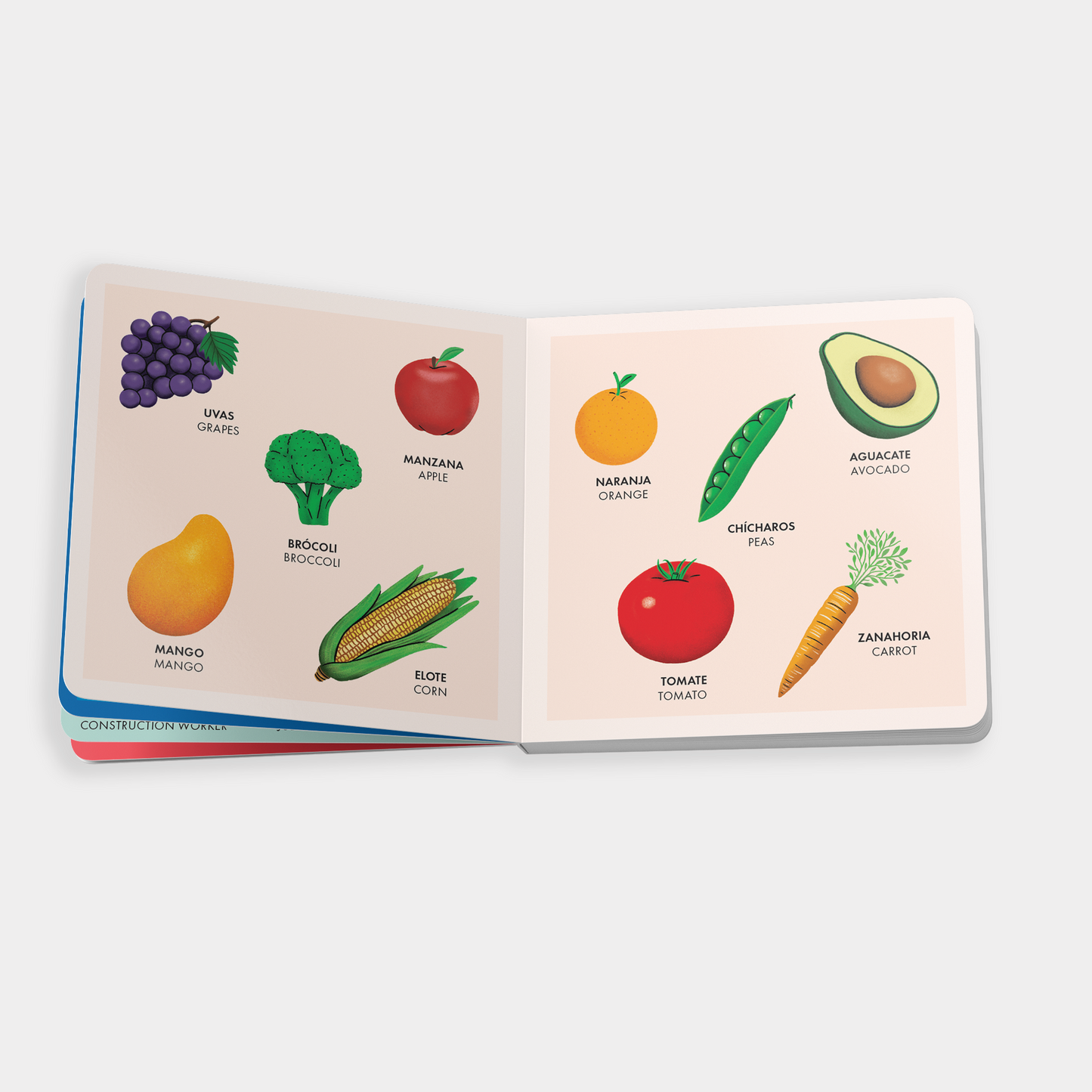 My Big Bilingual Book of First Words available at Blue Star Press