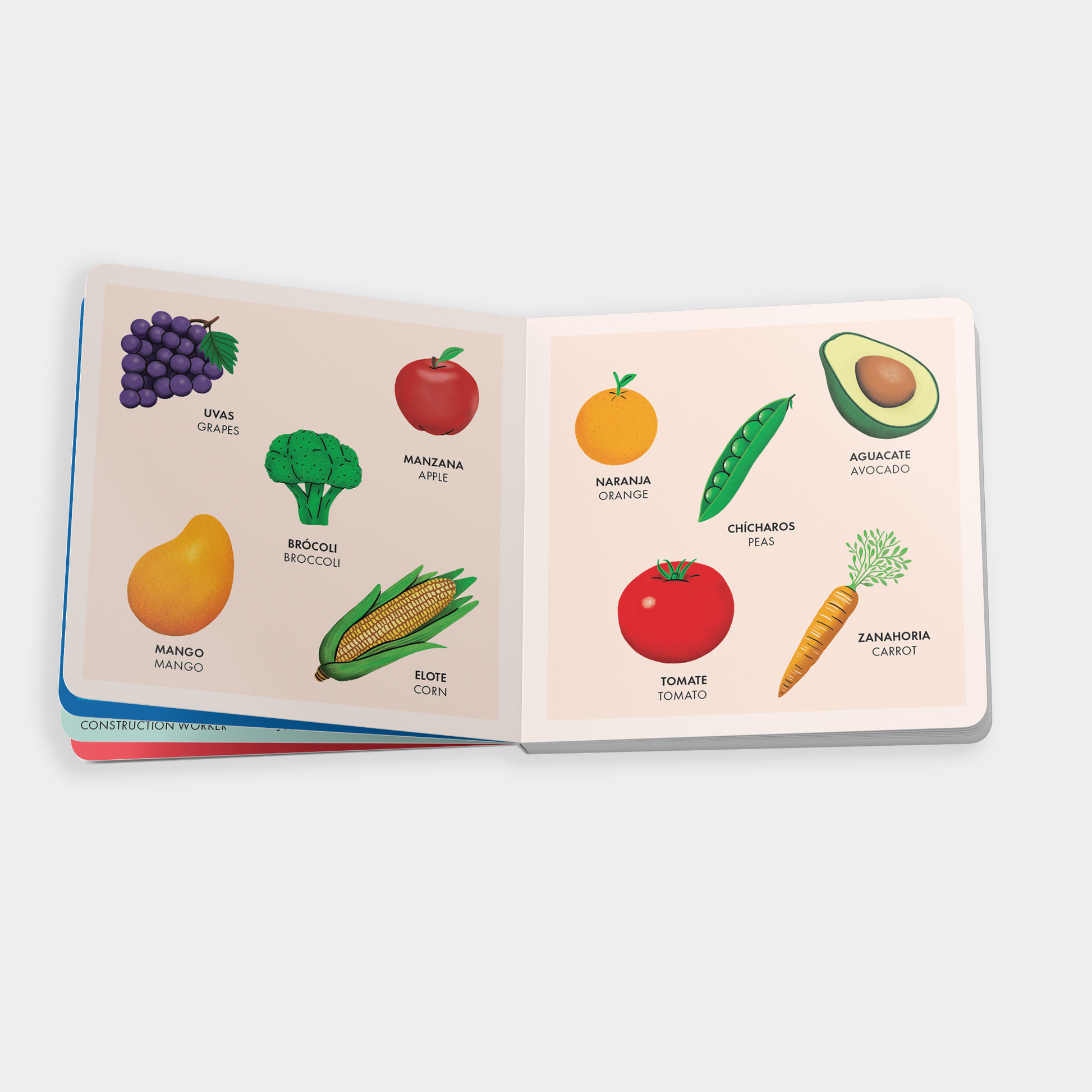 My Big Bilingual Book of First Words available at Blue Star Press