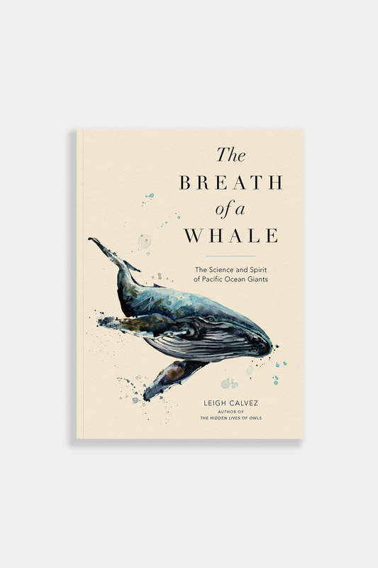 ocean animals book
gifts for nature lovers
marine biology gifts
sperm whale
blue whale
giant whale
humpback whale book
ocean life book
ocean life
humpback whales
evolutionary biology
endangered species
conservation
ocean book
marine biology books
whales
oceanography
sea creatures
marine biology
marine life
nature writing
nature essays
pacific ocean
sea animals
whale book
sea life
marine science