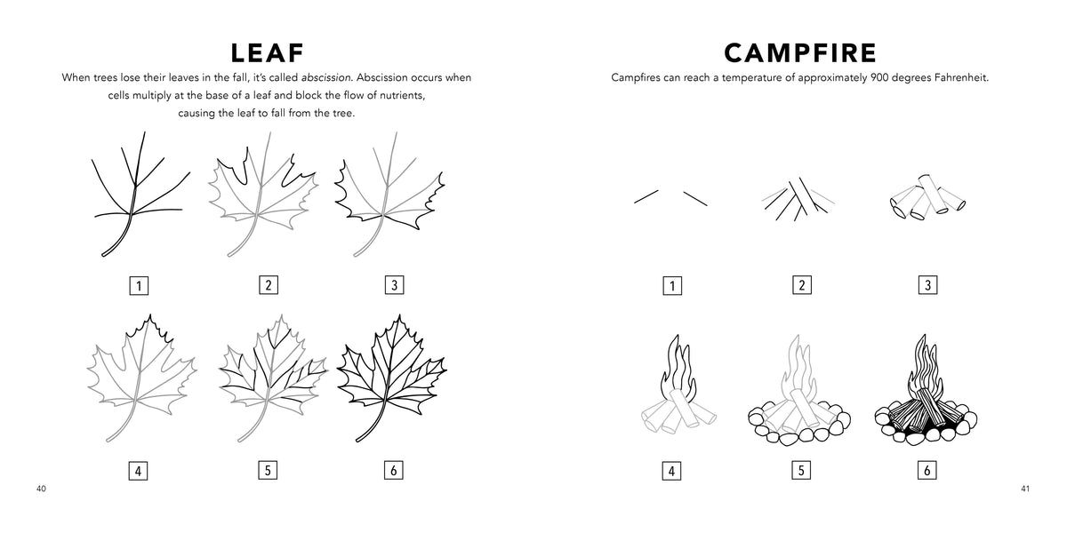 how-to-draw-fall-things – Blue Star Press