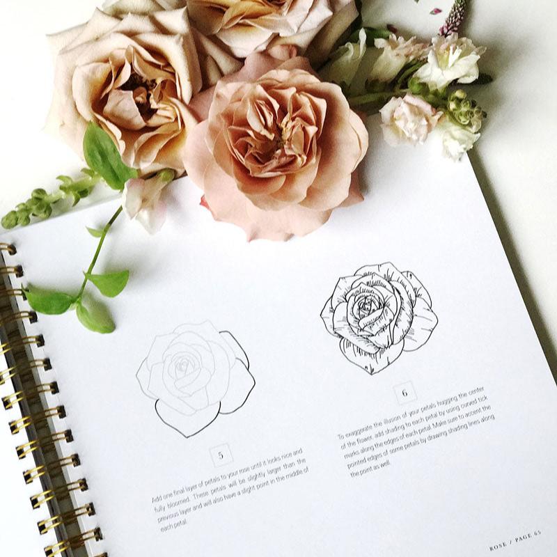 How To Draw Modern Florals (Paperback) by Alli Koch