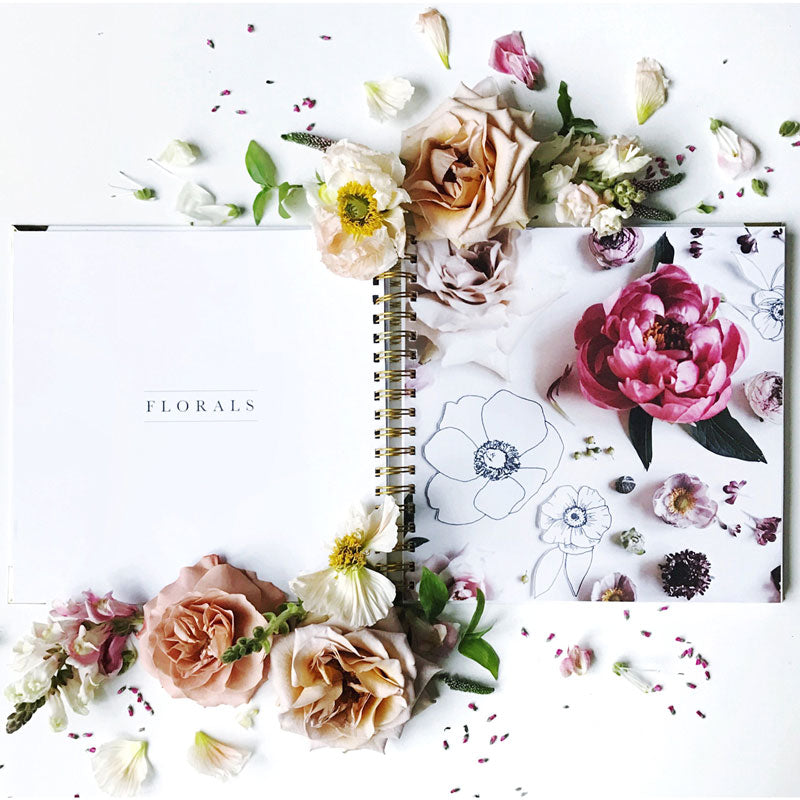 How To Draw Modern Florals (Paperback) by Alli Koch