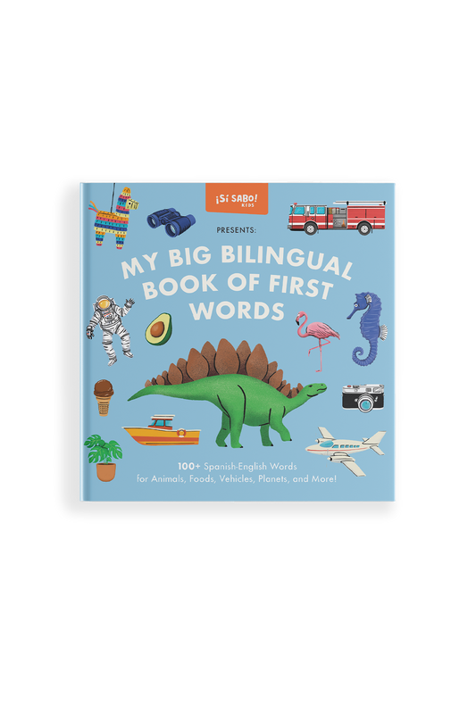 My Big Bilingual Book of First Words available at Blue Star Press