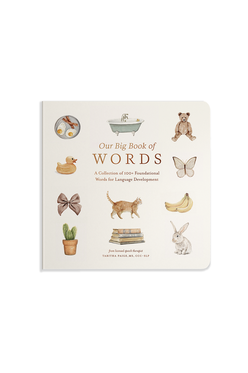 MY BIG BOOK OF WORDS　未開封 マイビッグブックオブワーズの中古販売(ディズニー英語システム)
