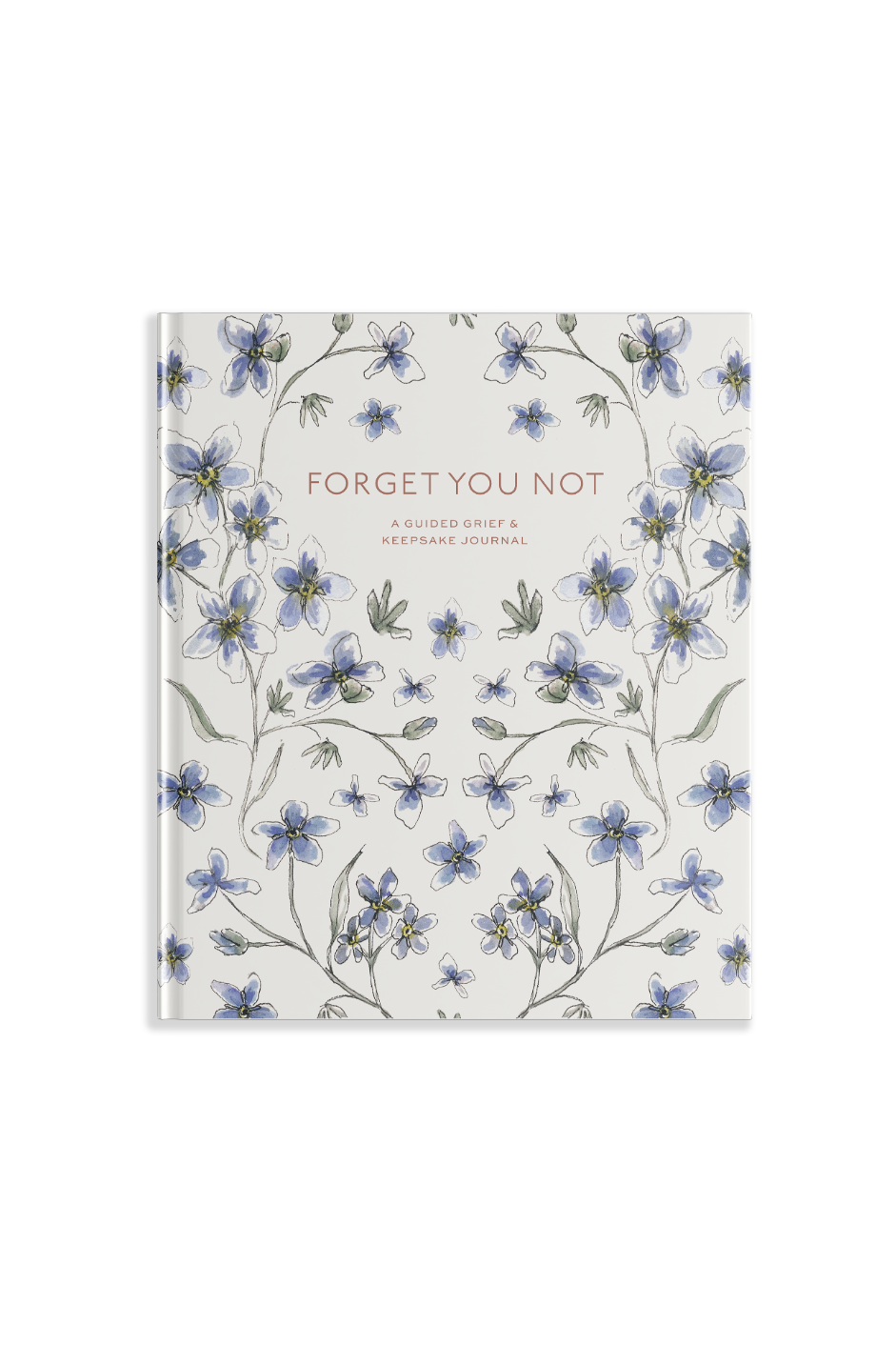 Forget You Not by Brittany DeSantis